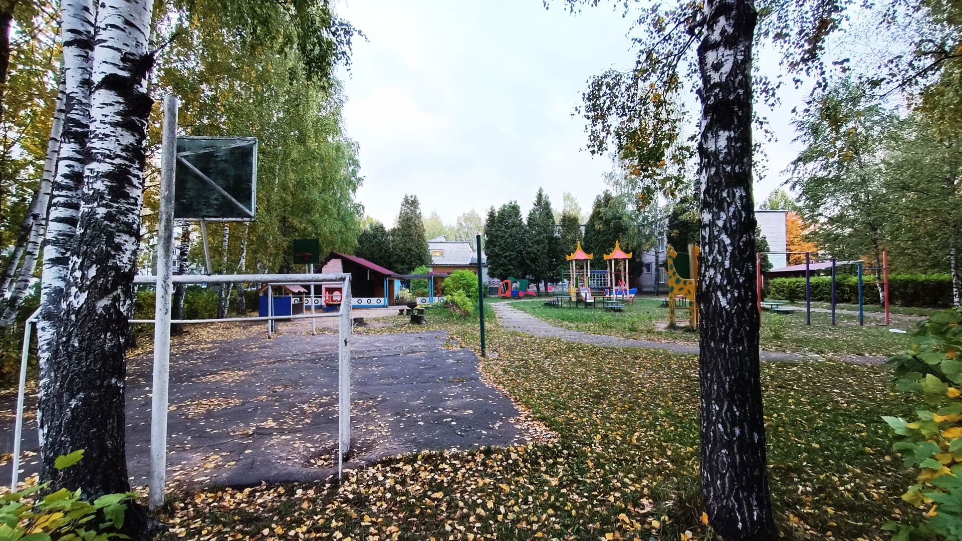 Детский сад 56 Ярославль: площадка для баскетбола.