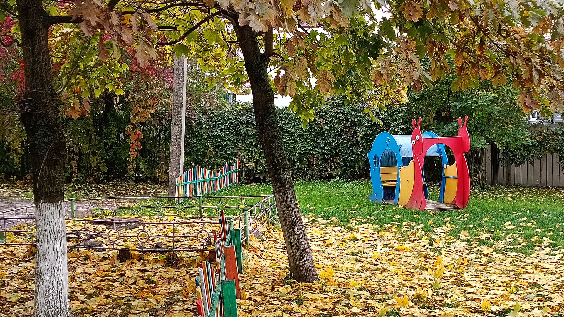 Детский сад 205 Ярославль: прогулочная площадка.