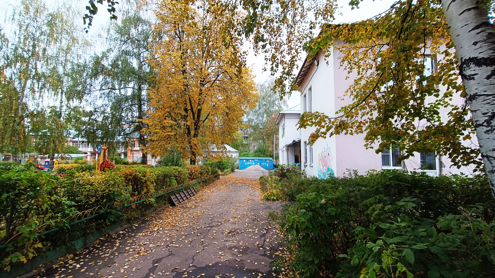 Детский сад 246 Ярославль: территория садика. 