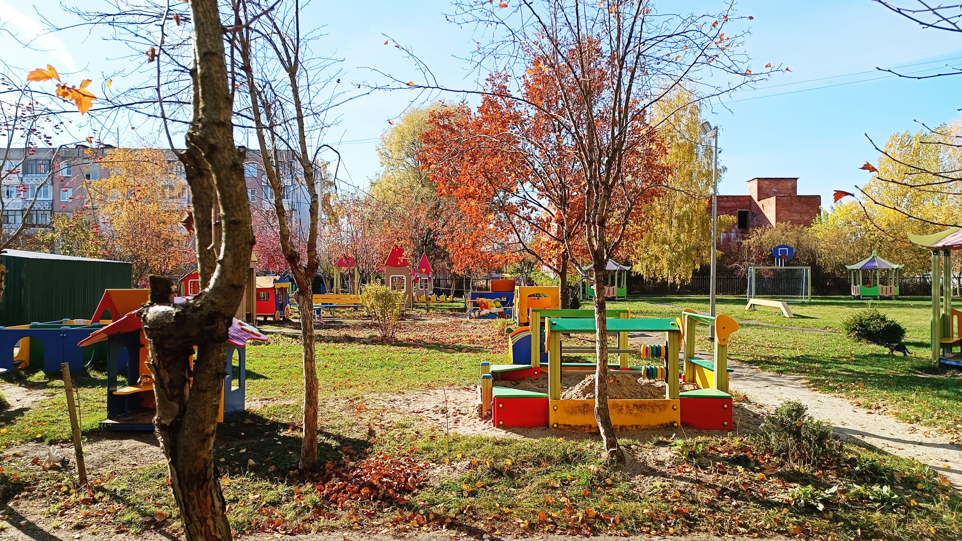 Детский сад 145 Ярославль: площадка для прогулок.