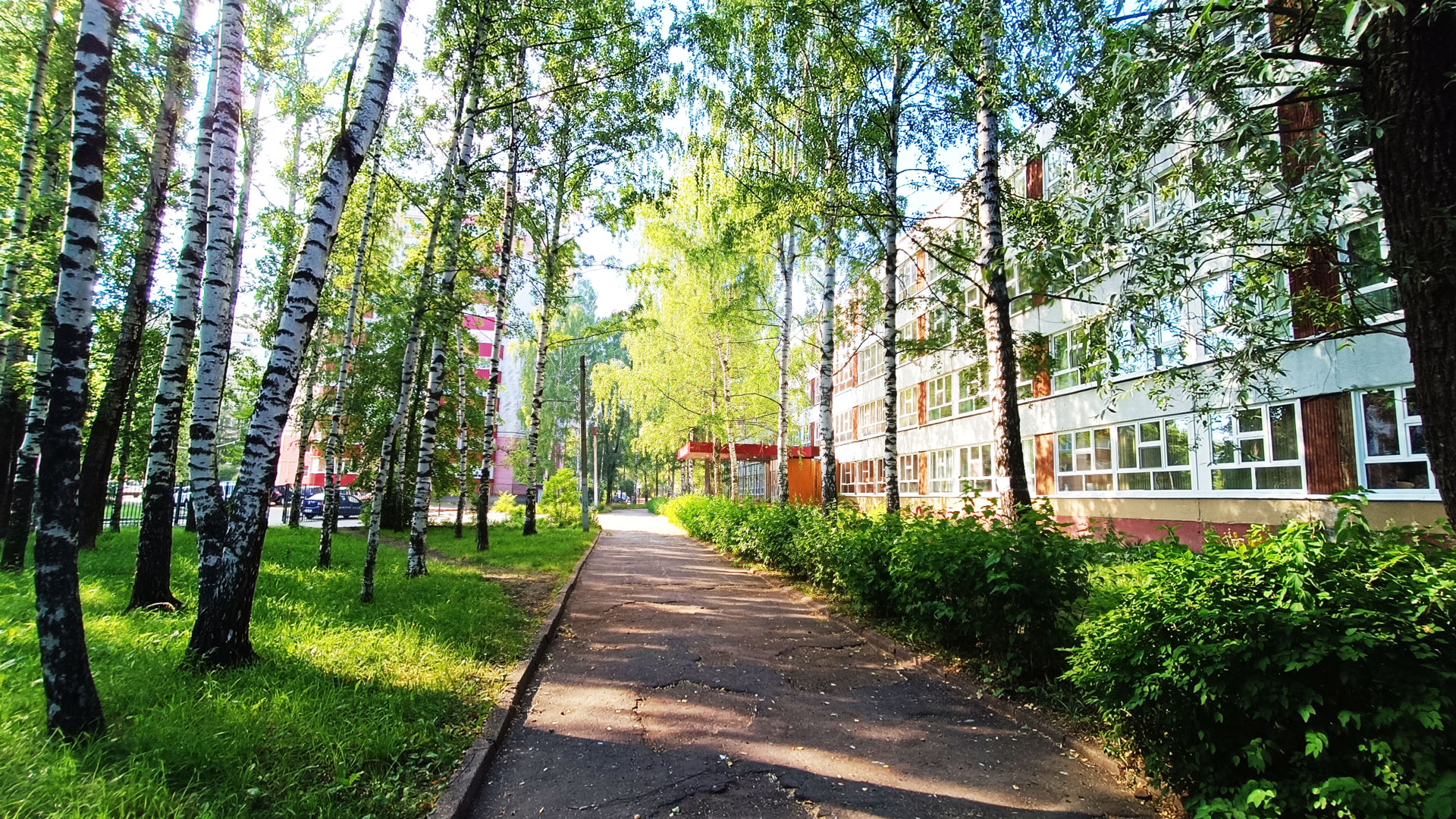 Гимназия 2 Ярославль: общий вид территории и здания.