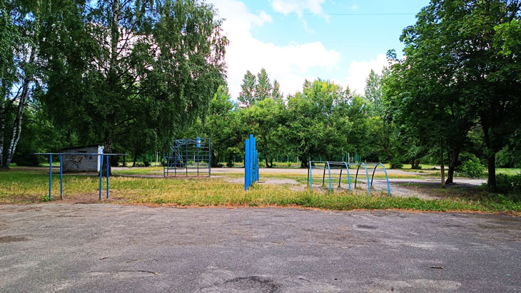 Спортивный силовой городок в школе № 51 города Ярославля.