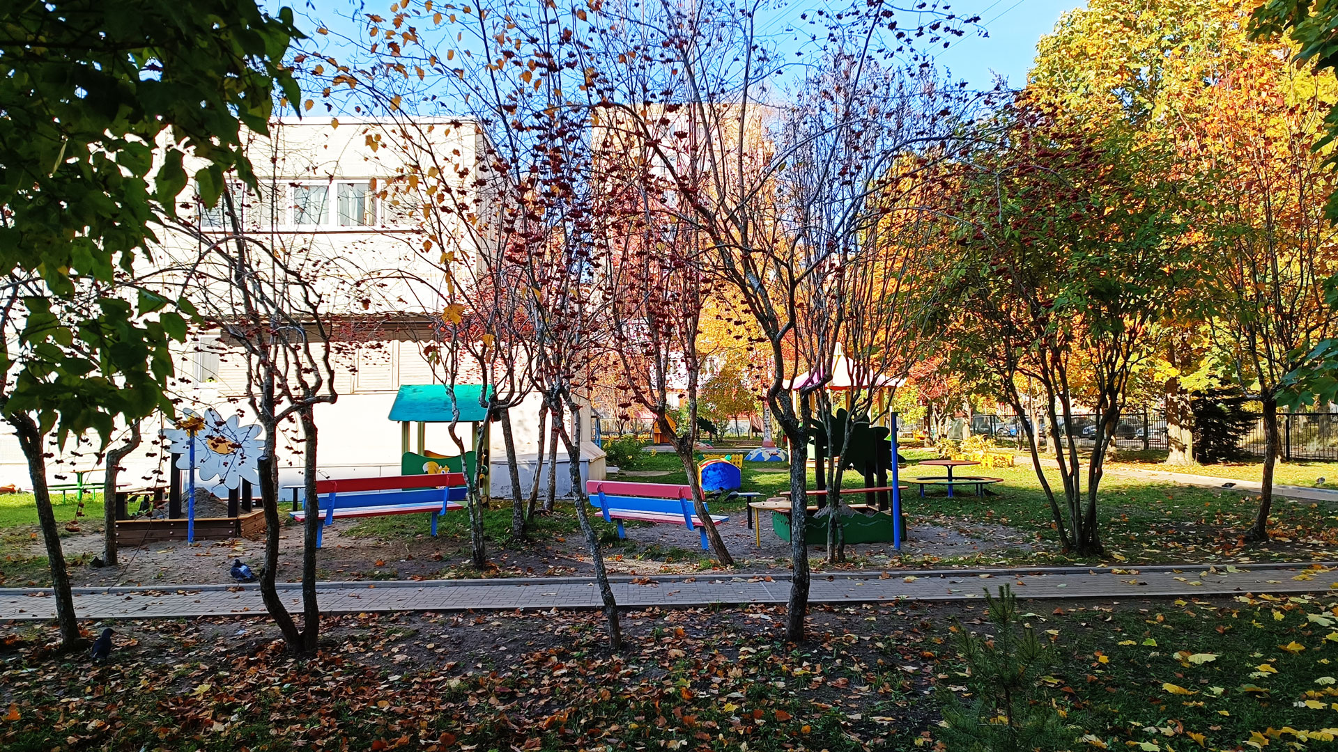 Детский сад 145 Ярославль: прогулочная площадка.